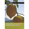 How To Grow A Lemon Tree And Other Citrus Fruits