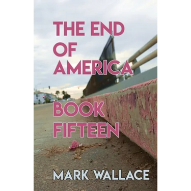 The End of America, Book Fifteen