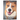 American Staffordshire Terrier: Dog breed overview and guide