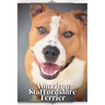 American Staffordshire Terrier: Dog breed overview and guide