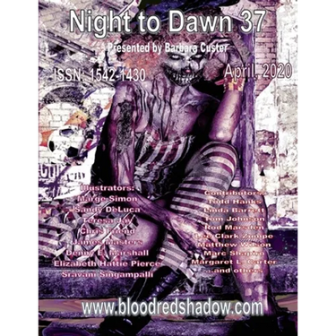 Night to Dawn 37