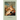 Plotted, Shot, and Painted: Cultural Representations of Biblical Women, Second Revised Edition