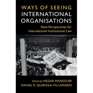 Ways of Seeing International Organisations