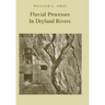 Fluvial Processes in Dryland Rivers