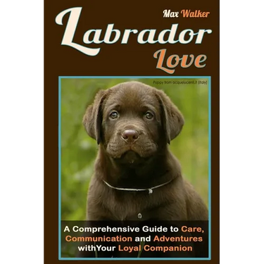 Labrador Love: A Comprehensive Guide to Care, Communication, and Adventures with Your Loyal Companion - From Labrador Retriever Origins to Training an