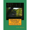 Paddling Sugar Creek From The Source To The Wabash