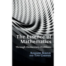 The Essence of Mathematics Through Elementary Problems