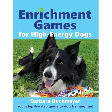 Enrichment Games for High-Energy Dogs: Your step-by-step guide to dog training fun!