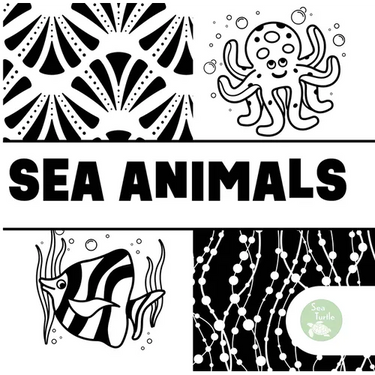 Sea Animals