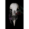 Black Bird