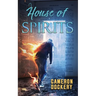 House of Spirits: A Shot of Redemption