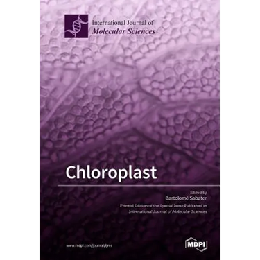 Chloroplast