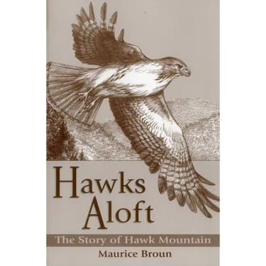 Hawks Aloft