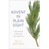 Advent in Plain Sight: A Devotion Through Ten Objects