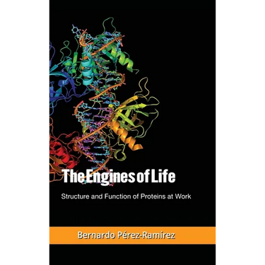 The Engines of Life: Structure and Function of Proteins at Work
