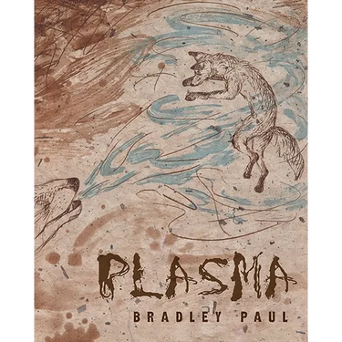 Plasma