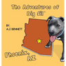 The Adventures of Big Sil Phoenix: Children's Book