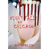 Night Falls on Chicago
