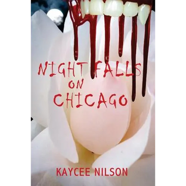 Night Falls on Chicago
