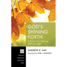 God's Shining Forth: A Trinitarian Theology of Divine Light