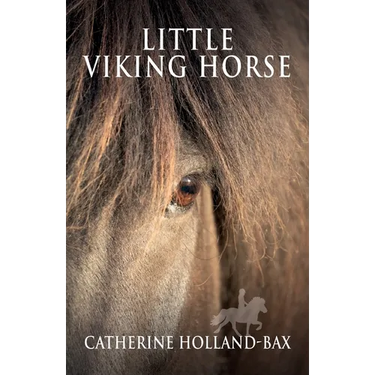 Little Viking Horse