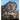 Owls: The Majestic Hunters