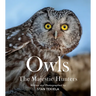 Owls: The Majestic Hunters