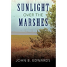 Sunlight Over the Marshes