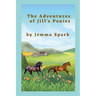 The Adventures of Jill's Ponies