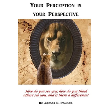 Your Perception is Your Perspective: How do you see you; how do you think others see you, and is there a difference?