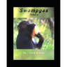 Swampgas Theory