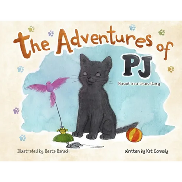 The Adventures of PJ