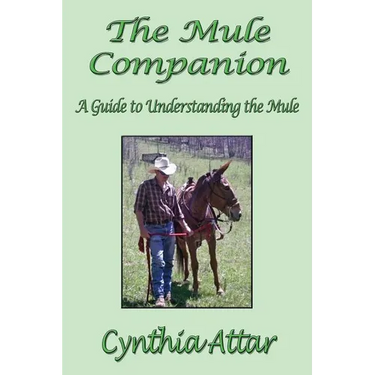 The Mule Companion: A Guide to Understanding the Mule