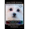 Maltese Puppy Training Book for Maltese Puppies By D!G THIS DOG Training, From the Car Ride Home Training Begins, Maltese Puppy Training