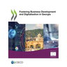 Fostering Business Development and Digitalisation in Georgia