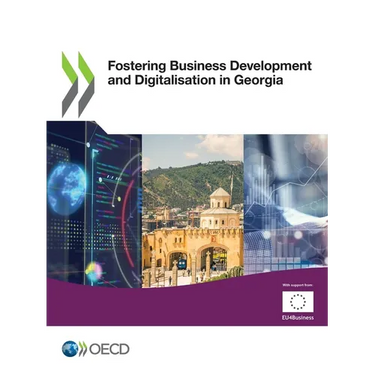 Fostering Business Development and Digitalisation in Georgia
