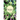 Of Stardust: Lore reshaped