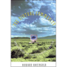 The Virtual Community, Revised Edition: Homesteading on the Electronic Frontier