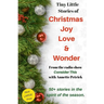 Christmas Joy, Love & Wonder: Tiny Little Stories