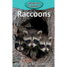 Raccoons