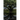 The Upside-Down Tree