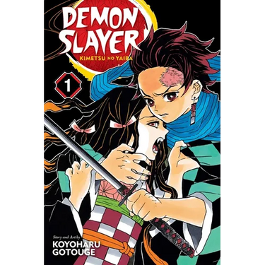 Demon Slayer: Kimetsu No Yaiba, Vol. 1