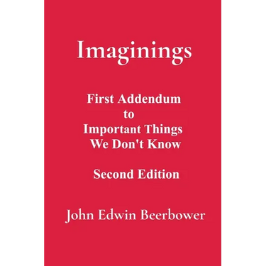 Imaginings: First Addendum to Important Things We Don't Know