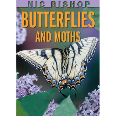 Nic Bishop: Butterflies and Moths