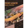 Dojo Loach: From Novice to Expert. Comprehensive Aquarium Fish Guide