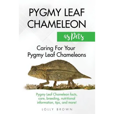 Pygmy Leaf Chameleons as Pets: Pygmy Leaf facts, care, breeding, nutritional information, tips, and more! Caring For Your Pygmy Leaf Chameleons
