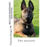 belgian shepherd malinois