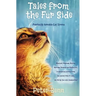 Tales from the Fur Side: Purrfectly Adorable Cat Stories