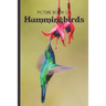 Picture Book Of Hummingbirds: Large Print Book For Seniors with Dementia or Alzheimer's