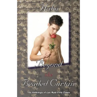 Beyond the Beaded Curtain: An Anthology of Gay First Times